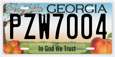 GA license plate PZW7004
