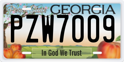 GA license plate PZW7009