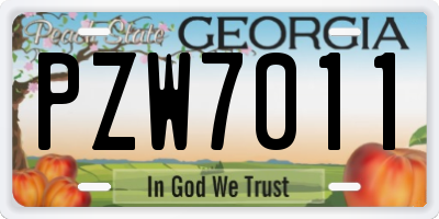 GA license plate PZW7011