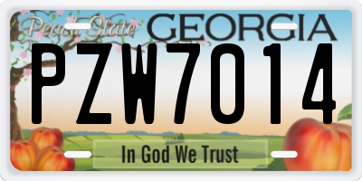 GA license plate PZW7014