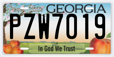 GA license plate PZW7019