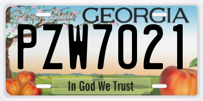 GA license plate PZW7021