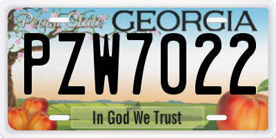 GA license plate PZW7022