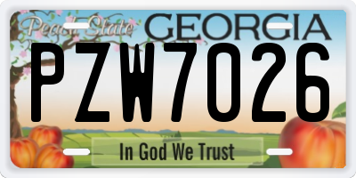 GA license plate PZW7026