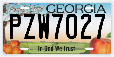 GA license plate PZW7027