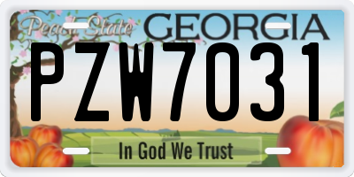 GA license plate PZW7031