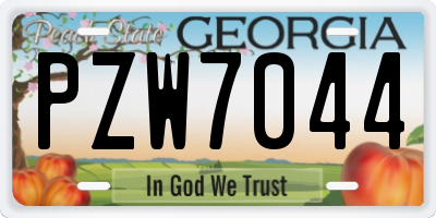 GA license plate PZW7044