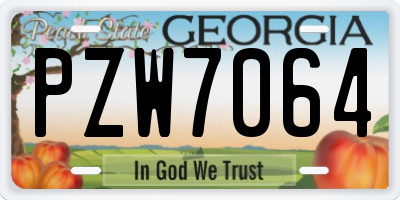 GA license plate PZW7064