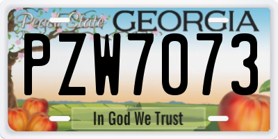 GA license plate PZW7073