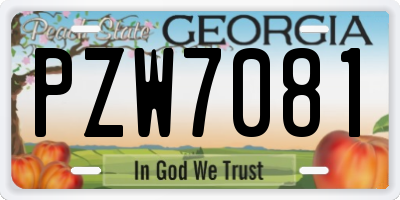 GA license plate PZW7081