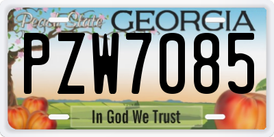 GA license plate PZW7085