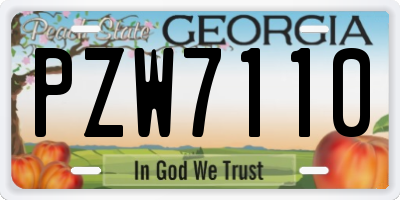 GA license plate PZW7110