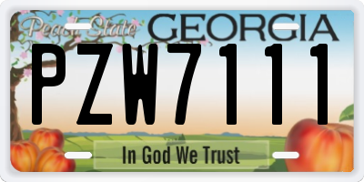 GA license plate PZW7111