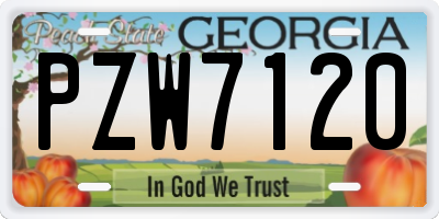 GA license plate PZW7120