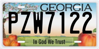 GA license plate PZW7122