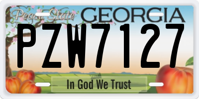 GA license plate PZW7127