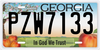 GA license plate PZW7133