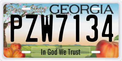 GA license plate PZW7134