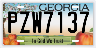 GA license plate PZW7137