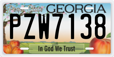 GA license plate PZW7138