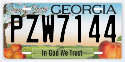 GA license plate PZW7144