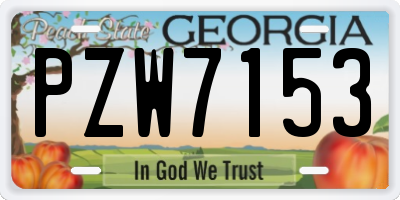 GA license plate PZW7153