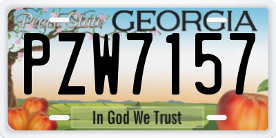 GA license plate PZW7157