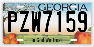 GA license plate PZW7159