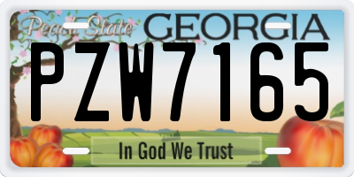 GA license plate PZW7165