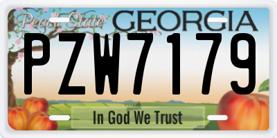 GA license plate PZW7179