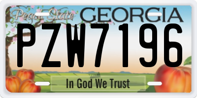 GA license plate PZW7196