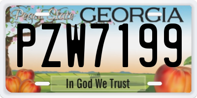 GA license plate PZW7199