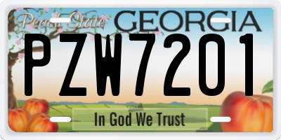 GA license plate PZW7201