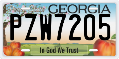 GA license plate PZW7205