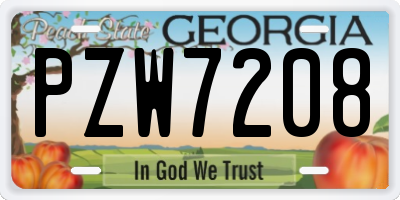 GA license plate PZW7208