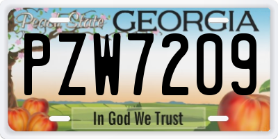 GA license plate PZW7209