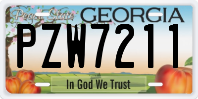 GA license plate PZW7211