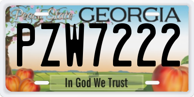 GA license plate PZW7222