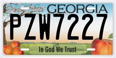 GA license plate PZW7227