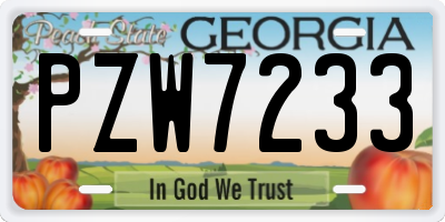 GA license plate PZW7233