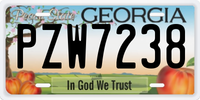 GA license plate PZW7238