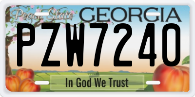 GA license plate PZW7240