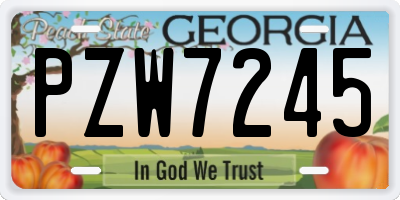 GA license plate PZW7245