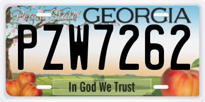 GA license plate PZW7262