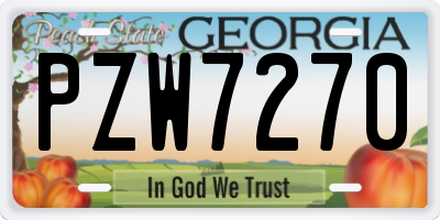 GA license plate PZW7270