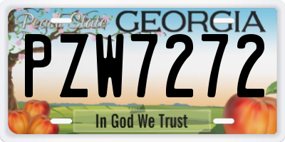 GA license plate PZW7272