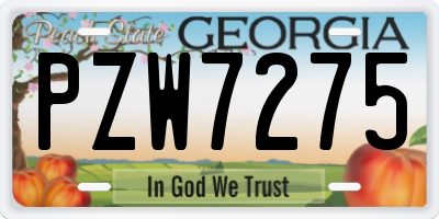 GA license plate PZW7275