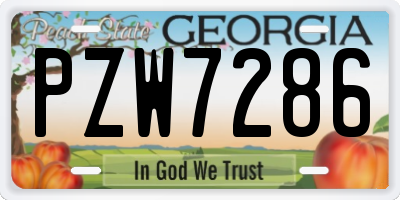 GA license plate PZW7286