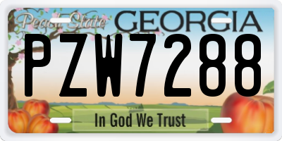 GA license plate PZW7288