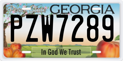 GA license plate PZW7289